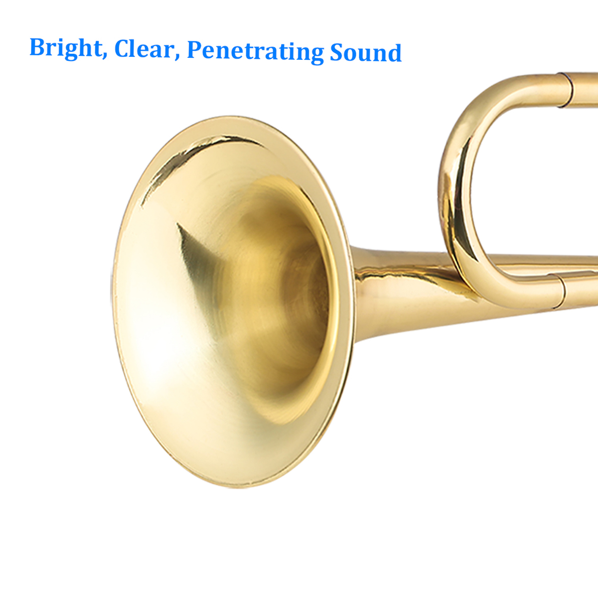 金メッキ真鍮cブグルコールトランペット、初心者用マウスピース - Musical Instrument Bugle のレビューと価格