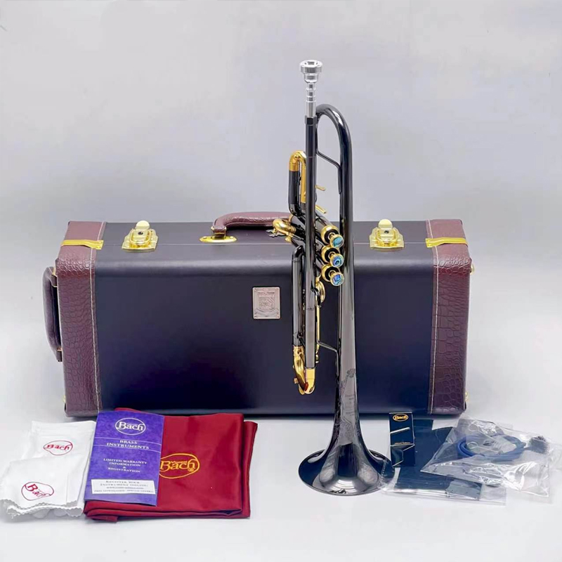 トランペット ストラディバリウス 37周年記念 シルバー ト - Musical Instrument Bugle のレビューと価格