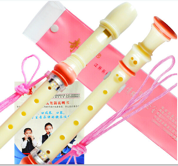 ホット販売ドイツ 8 穴ソプラノプラスチックリコーダー C  - Soprano Recorder Plastic のレビューと価格