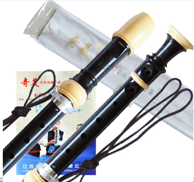 ホット販売ドイツ 8 穴ソプラノプラスチックリコーダー C  - Soprano Recorder Plastic のレビューと価格