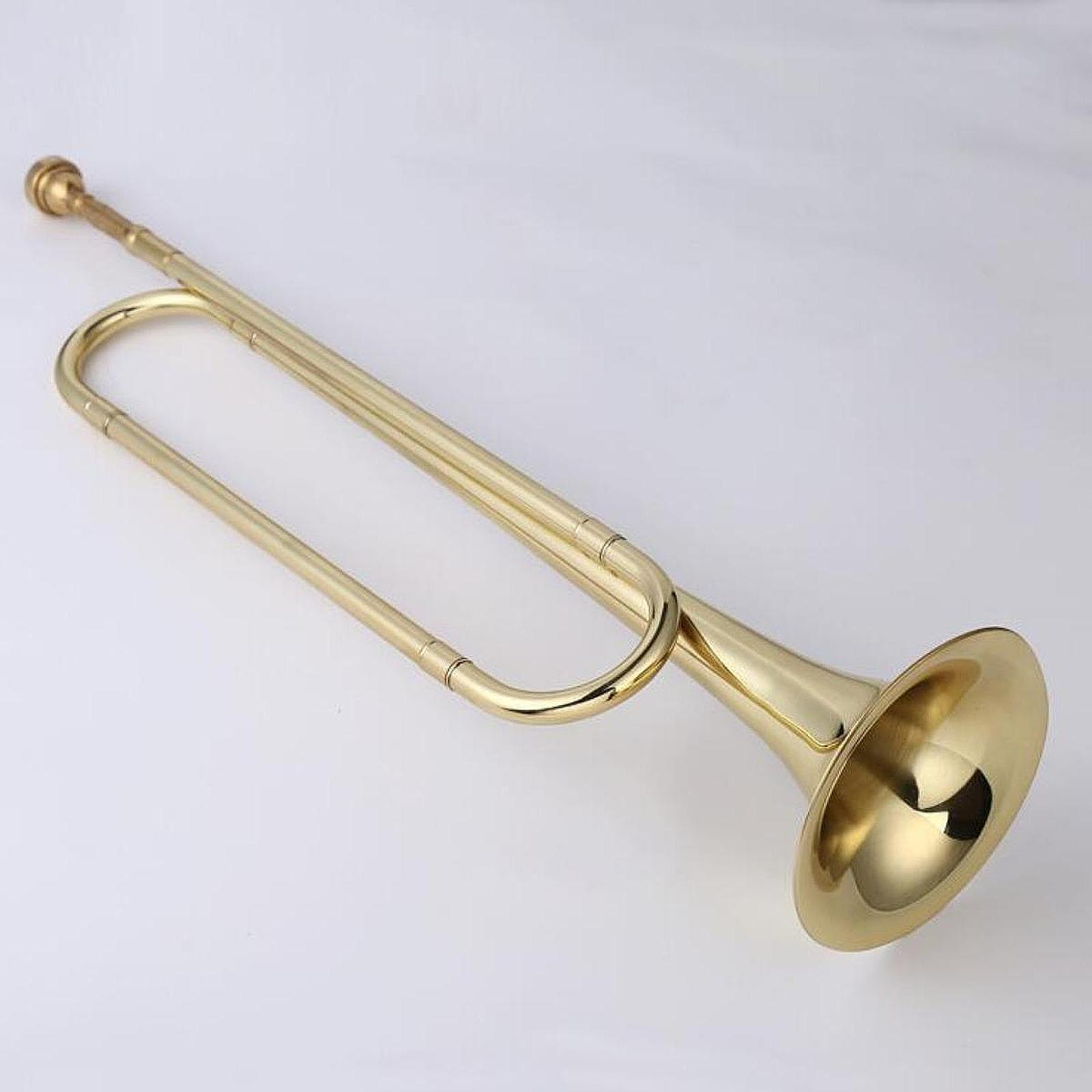 B♭バグル ヤングチームバグル クラシックプロフェッショナル - Musical Instrument Bugle のレビューと価格